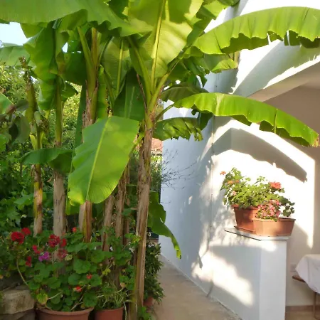 Apartman Angelo Apartment, In The Quiet Part Of Porec